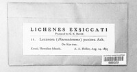 Image Associated With the Occurence